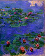 Water Lilies
