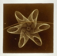Untitled from Specimens of Fancy Turning Executed on the Hand or Foot Lathe with Geometric, Oval, and Eccentric Chucks, and Elliptical Cutting Frame (Philadelphia: Henry Carey Baird, 1869)