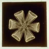 Untitled from Specimens of Fancy Turning Executed on the Hand or Foot Lathe with Geometric, Oval, and Eccentric Chucks, and Elliptical Cutting Frame (Philadelphia: Henry Carey Baird, 1869)
