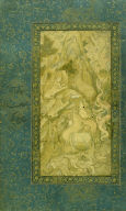 Animal Scene