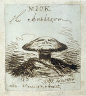 Mick the Mushroom