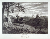 The Signal