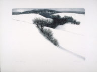 Winter Morning
