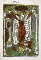 St. Wilgefortis