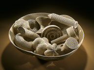 Perforated Vessel