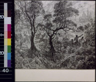 People in forest view city in distance