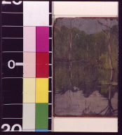 River bank