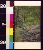 Creek in woods