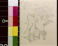 Sparrows in love