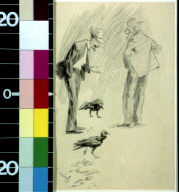 We had brought in two turkey buzzards