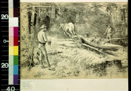 Canoeing in the North Woods--a 'carry'