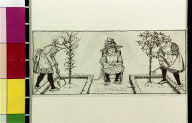 Three gardens