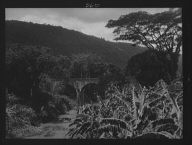 Travel views of Cuba and Guatemala
