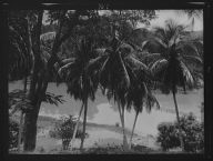 Travel views of Cuba and Guatemala