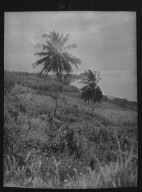 Travel views of Cuba and Guatemala