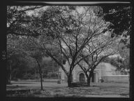 Travel views of Cuba and Guatemala