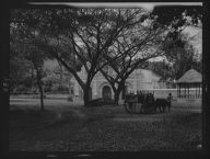 Travel views of Cuba and Guatemala