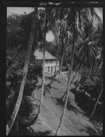 Travel views of Cuba and Guatemala