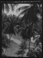 Travel views of Cuba and Guatemala