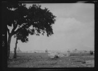 Travel views of Cuba and Guatemala