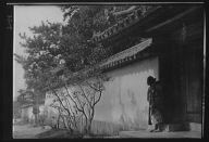 Travel views of Japan and Korea
