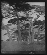 Travel views of Japan and Korea