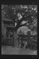 Travel views of Japan and Korea