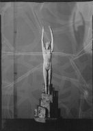 Barjansky award statue