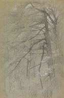 Study of Two Figures