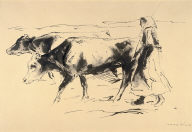 The Cowherd