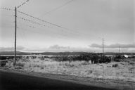 Birds on Telephone Lines -- Vicinity of Truth or Consequences, New Mexico