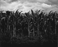 Vicinity of Hudson, Wisconsin