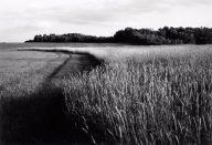 Vicinity of Hamel, Minnesota