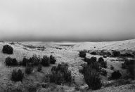 Cuchillo, New Mexico