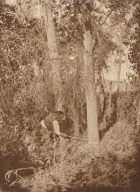 Cutting the Center-Pole, Cheyenne