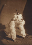 Tawihyilahl-Qagyuhl