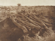 Pima Burial Grounds