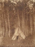A Chipewyan Tipi Among the Aspens