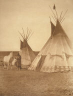 Blackfoot Tipis