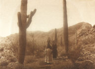 Hasen Harvest - Qahatika