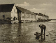 The Clam Digger