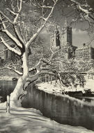 Caressing Snow