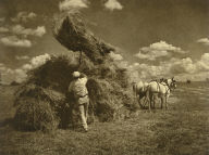 Haying in Colorado