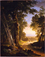 The Beeches