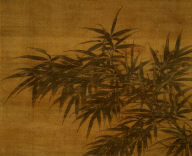 Bamboo and Rocks