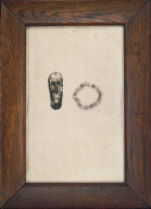 Skull and Shells