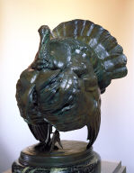 Bronze Turkey