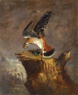 Vulture and Its Prey