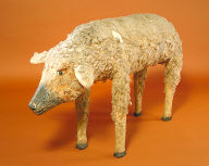 Sheep