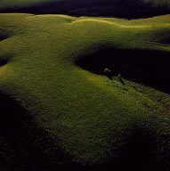 Konza Prairie